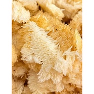 【ATOZ】🐝 Fresh BSF Eggs | High Hatch Rate Black Soldier Fly Eggs for Farming, Composting & Feed