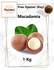 (Australia) 1kg Roasted Macadamia Nut with Shell 烤夏威夷果