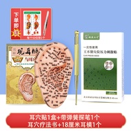 Ear Acupoint Sticker King Buliuxing Seed Sticker Pressed Bean Ear Model Myopia Ear Bean Sticker Ear 