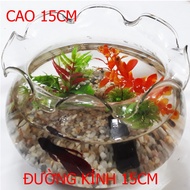 Small Fish Tank HB3 - Desktop Aquarium - Glass Fish Tank HB-3 15x15x15 [HB3]