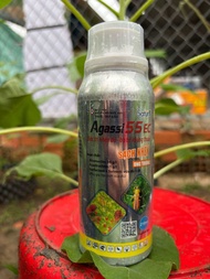 Agassi 55ec 210ml UNG TRỨNG chuyên nhện đỏ vẽ bùa tất cả các loại sâu và chích hút