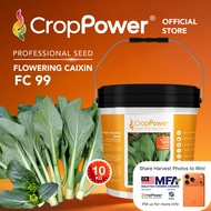 (10 KG) Biji Benih Sawi Bunga Hongkong Shangrila 香格里拉 FC99 CROP POWER Hong Kong Flowering Caixin 香港