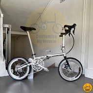 Fnhon Gust 18” • 10 gears Shimano Litepro Schwalbe Marathon Folding Foldable Foldie Bicycle Bike Polished Silver 349