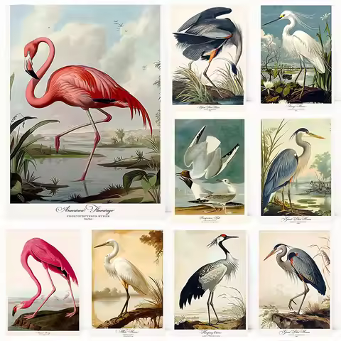 Vintage Audubon Style Bird American Flamingo Bonapartian Gull Poster Print Wall Art Pictures Canvas 