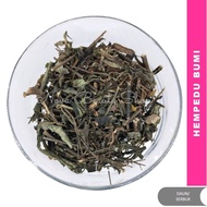 Serbuk/ Daun Kering Hempedu Bumi (Andrographis paniculata) Akar Cerita, Hempedu Tanah, Chuan Xin Lia