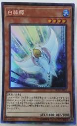 (單良8778)RC03-JP011V白棘鯨(雕鑽)(台南巧巧屋) 