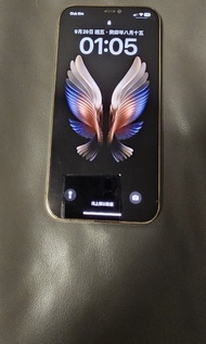 iPhone 12 pro max 256G