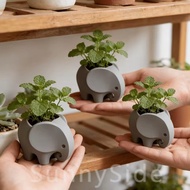 [24H Ship Out] 1-5pcs Cute Unique Elephant Shape 3D Printed Flower Pot | Matte Finish Mini Planter, 