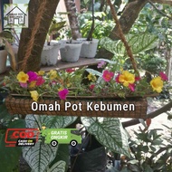 Hanging Flower pot With Long Coconut Coir/mossrose Flower pot