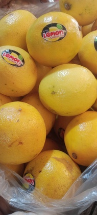 JERUK LEMON CALIFORNIA ( LOKAL ) FRESH SEGAR, MURAH DAN TERJAMIN KWALITASNYA. SOLUSI DIET ALAMI, MUR