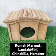 Guinea Pig House Guinea Pig House Mini Wooden Hedgehog House