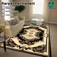 200,300cm Carpet/Living Room Floor Carpet European Carpet Aesthetic Anti-Slip Carpet