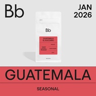 BEAN BROTHERS 436 Guatemala El Socorro Single Origin Coffee Beans Kopi Biji 咖啡豆 (200g)