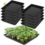 MXMUSTY1 10Pcs Plant Growing Trays, No Holes Durable Seed Propagation Tray, Sprout Hydroponic Systems Plastic 550x285x60mm Reusable Nursery Potted Seedling Trays Indoor Gardening