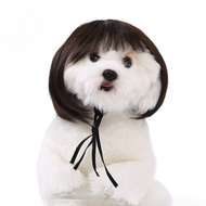 Wig Hewan Anjing Kucing - Pet Wigs Cosplay Hewan Anjing Kucing - Rambut Palsu Hewan Kucing Anjing