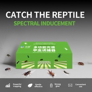 1 Set KongXiao Multi-Functional Spectrum Beetle Trap Kit (Bait + Sticky Board) - Effective for Indoo