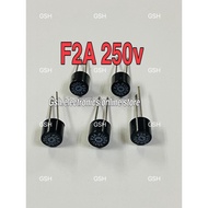 T2A 250V Micro Fuse(5BIJI)