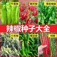 Pepper Seeds Daquan Line Pepper Screw Pepper Chaotian Pepper Beef Pepper Sweet Pepper Greenhouse Xia