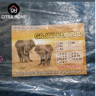A3 Plastic Tarpaulin Size 4x6M Twin Elephant Brand