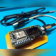 IoT Apps Blynk Project ESP8266 Temperature Sensor DS18B20 Projek RBT Tahun Akhir FYP
