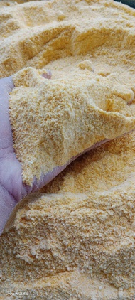 tepung jagung murni dengan kadar protein tinggi