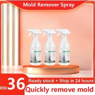 500ml Cabinet Mildew Remover Spray Wood Furniture Mold Cleaner Hampus Kulat Almari Sofa Kayu Papan 除