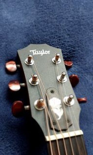 Taylor  GS Mini custom