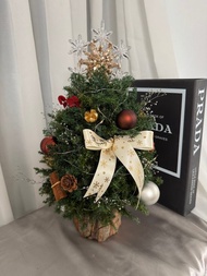 永生聖誕樹 聖誕樹 雪松 閃燈 聖誕禮物