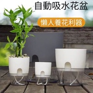 (J31)(白色)中號 透明雙層自動灌溉花盆 簡約創意自吸水花盆 透明塑料花盆