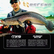 Exp Ascend 2024 Baitcast Rod