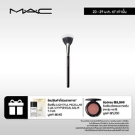 184 SYNTHETIC DUO FIBRE FAN BRUSH