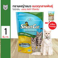 SmartCat ทรายแมว ทรายหญ้าธรรมชาติ 100% ปลอดภัย ไร้ฝุ่น ไร้กลิ่น จับตัวเป็นก้อน บรรจุ 9.08 กิโลกรัม (