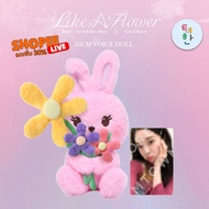 SHOPEE LIVE [RED VELVET] IRENE LIKE A FLOWER Official Merch (25CM VOICE DOLL)