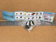 原色海水魚圖鑑 I : 02 三間雀