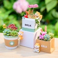 Miracleson-EVA Creative Cartoon Cute Puppy Succulent Flowerpot Shiba Inu Life Succulent Plant Flowerpot Small Gift