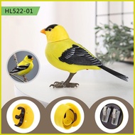 Talking Bird Electric Singing Bird Desktop Realistic Talking Electronic Pet for Sensory Play Birthda