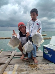 Rakitan pancing laut ikan tapi-tapi