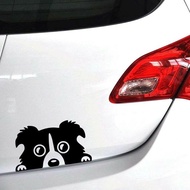 Cute Border Collie Dog Car Sticker