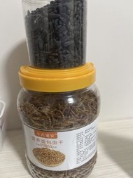干麵包蟲、黑瓜子