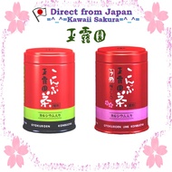 Gyokuroen Kombucha/Umekombucha【Direct From Japan】