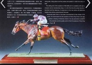 ‘誠徵收 ’香港賽馬會 靚蝦王雕塑