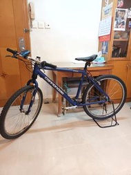cannondale單車