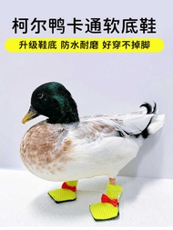 Pet Duck Shoes, Kor Duck Shoes, Goose Shoes, Boots, Pet Clothing, Anti Slip Pet Shoes, Rubber Cover