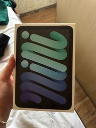 iPad mini 6 256G 少用