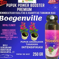 Pupuk Bunga / Pupuk Bunga Bougenville / Pupuk Royal Flower 250 GR /