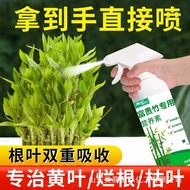 Welcome to the Shop, All Ready Stock If You Like It, You Can Consult to Order It. Fortune Tree Speci