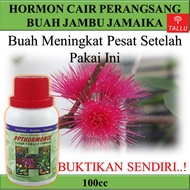 Hormon Cair 100cc Perangsang Buah Jambu Jamaika / Booster Cair Buah Jambu Jamaika / Pupuk Jambu Air