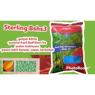 benih padi hibrida padiku BSHS3 1kg(sterling)