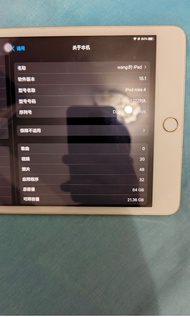 iPad mini 4港版 WiFi  64GB 金色