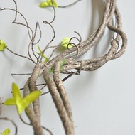 Medium Vine Simulation Branch Landscaping Decoration Plant Vines Dead Vines Simulation Trees Soft Tr